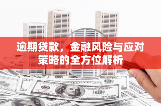 葫芦岛逾期贷款，金融风险与应对策略的全方位解析