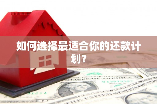 葫芦岛如何选择最适合你的还款计划？