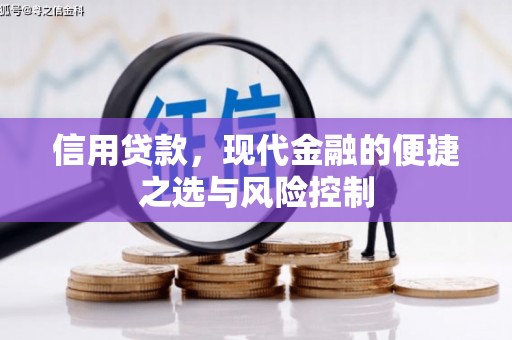 葫芦岛信用贷款，现代金融的便捷之选与风险控制