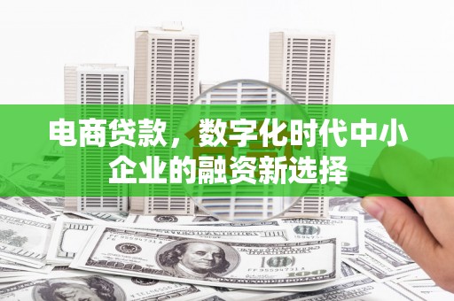 葫芦岛电商贷款，数字化时代中小企业的融资新选择