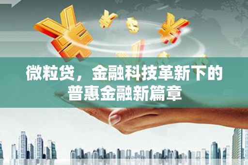 葫芦岛微粒贷，金融科技革新下的普惠金融新篇章