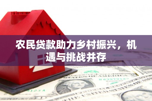 葫芦岛农民贷款助力乡村振兴，机遇与挑战并存