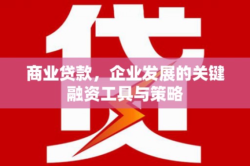 葫芦岛商业贷款，企业发展的关键融资工具与策略