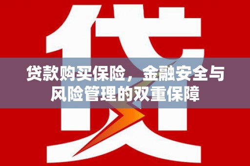 葫芦岛贷款购买保险，金融安全与风险管理的双重保障