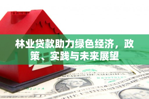 葫芦岛林业贷款助力绿色经济，政策、实践与未来展望