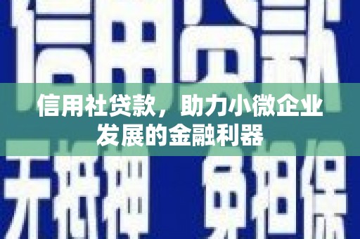 葫芦岛信用社贷款，助力小微企业发展的金融利器