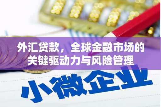 葫芦岛外汇贷款，全球金融市场的关键驱动力与风险管理