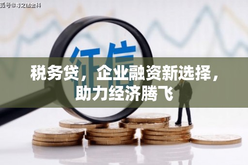 葫芦岛税务贷，企业融资新选择，助力经济腾飞