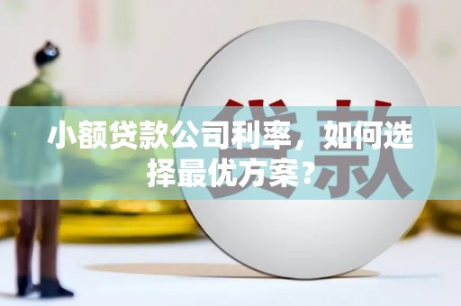 葫芦岛小额贷款公司利率，如何选择最优方案？