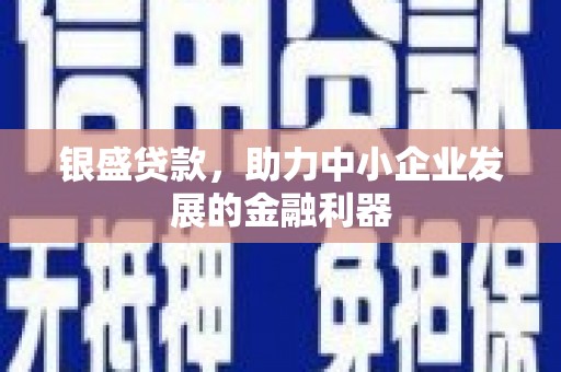 葫芦岛银盛贷款，助力中小企业发展的金融利器