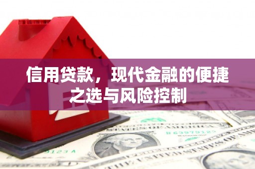 葫芦岛信用贷款，现代金融的便捷之选与风险控制