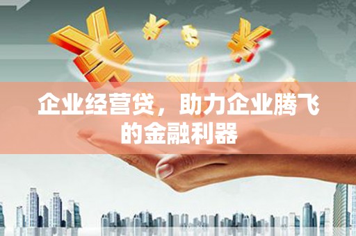 葫芦岛企业经营贷，助力企业腾飞的金融利器