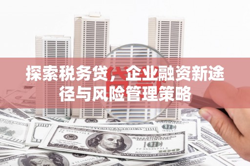 葫芦岛探索税务贷，企业融资新途径与风险管理策略