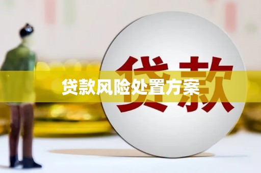 葫芦岛贷款风险处置方案