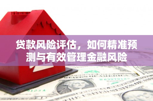 葫芦岛贷款风险评估，如何精准预测与有效管理金融风险