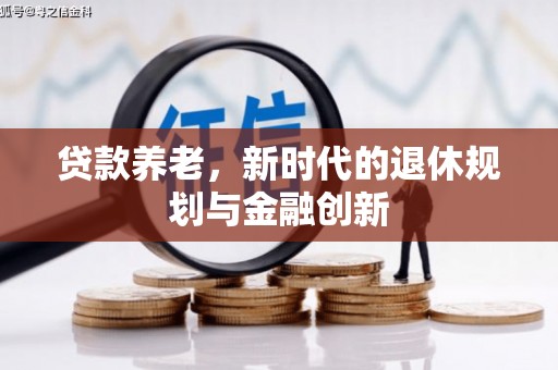 葫芦岛贷款养老，新时代的退休规划与金融创新