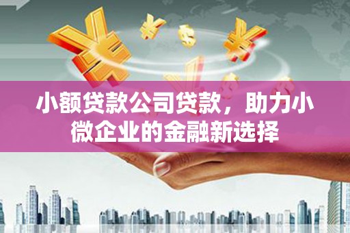 葫芦岛小额贷款公司贷款，助力小微企业的金融新选择
