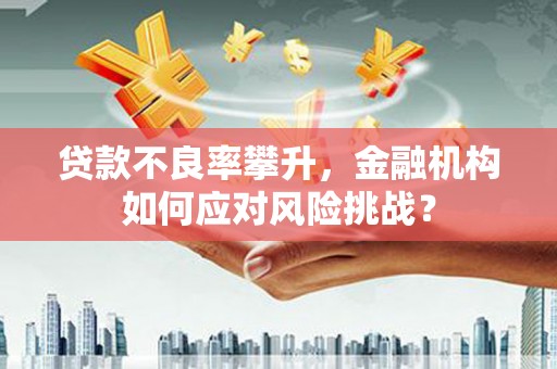 葫芦岛贷款不良率攀升，金融机构如何应对风险挑战？