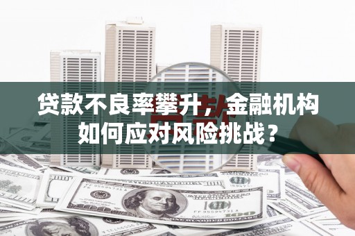 葫芦岛贷款不良率攀升，金融机构如何应对风险挑战？