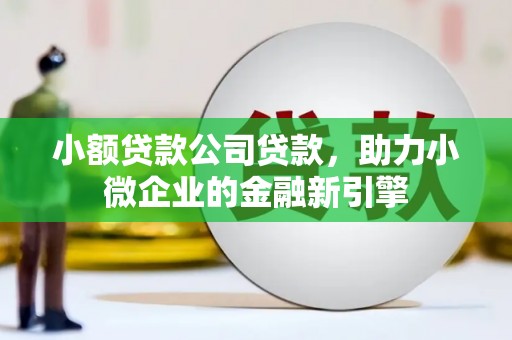 葫芦岛小额贷款公司贷款，助力小微企业的金融新引擎