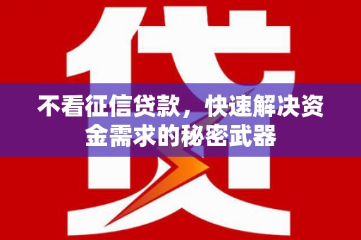 葫芦岛不看征信贷款，快速解决资金需求的秘密武器
