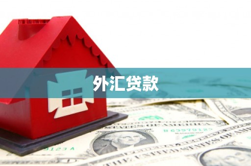 葫芦岛外汇贷款