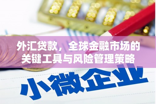 葫芦岛外汇贷款，全球金融市场的关键工具与风险管理策略