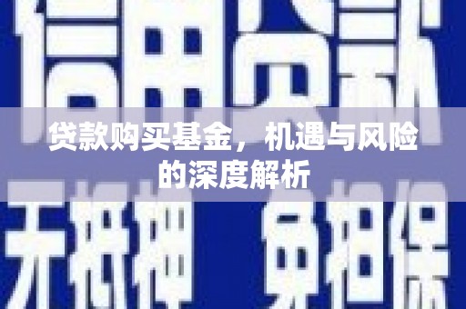 葫芦岛贷款购买基金，机遇与风险的深度解析