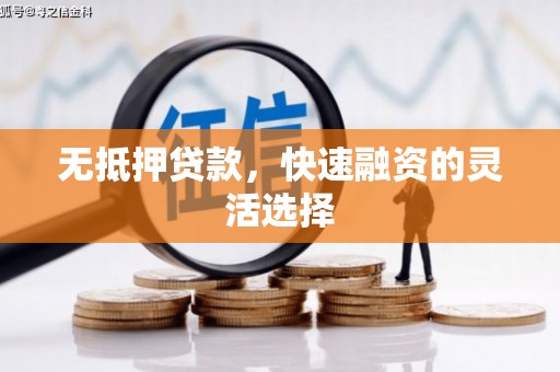 葫芦岛无抵押贷款，快速融资的灵活选择