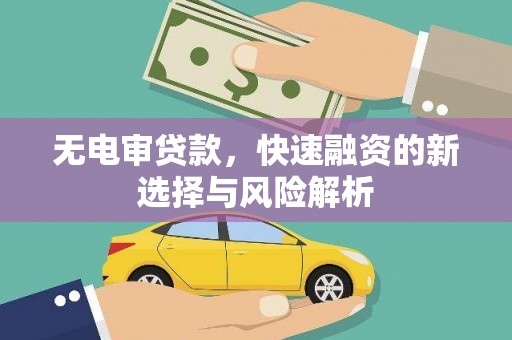 葫芦岛无电审贷款，快速融资的新选择与风险解析