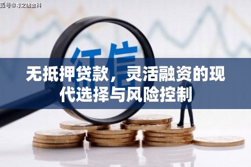 葫芦岛无抵押贷款，灵活融资的现代选择与风险控制
