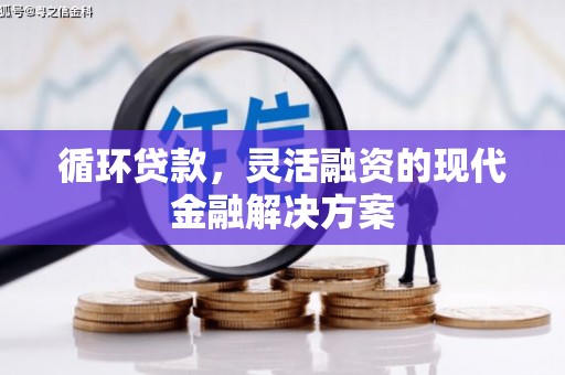 葫芦岛循环贷款，灵活融资的现代金融解决方案