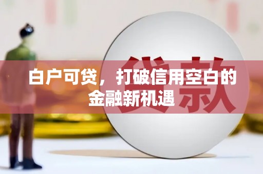 葫芦岛白户可贷，打破信用空白的金融新机遇