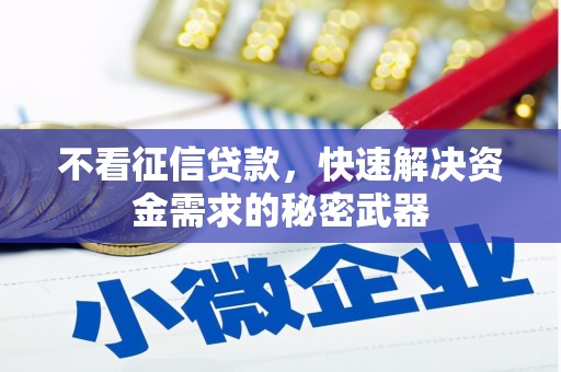 葫芦岛不看征信贷款，快速解决资金需求的秘密武器