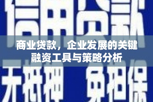 葫芦岛商业贷款，企业发展的关键融资工具与策略分析