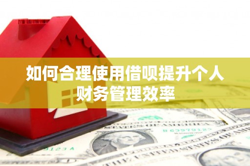 葫芦岛如何合理使用借呗提升个人财务管理效率