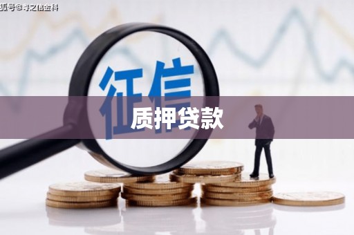 葫芦岛质押贷款