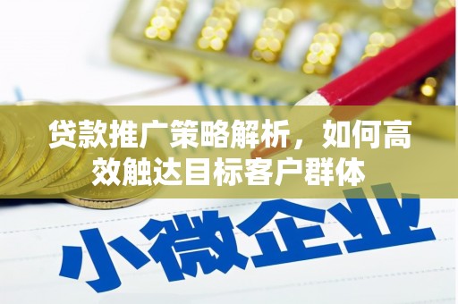 葫芦岛贷款推广策略解析，如何高效触达目标客户群体
