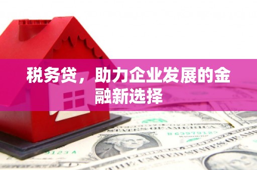 葫芦岛税务贷，助力企业发展的金融新选择