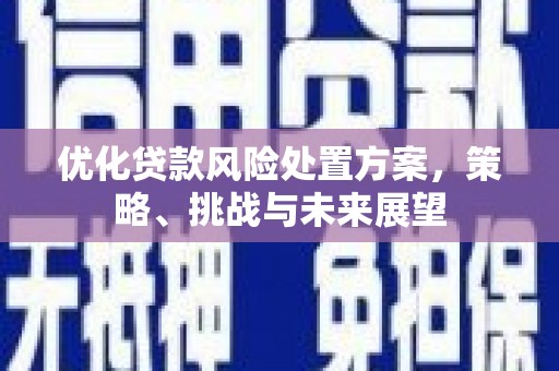 葫芦岛优化贷款风险处置方案，策略、挑战与未来展望