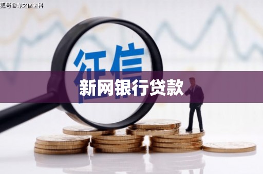 葫芦岛新网银行贷款