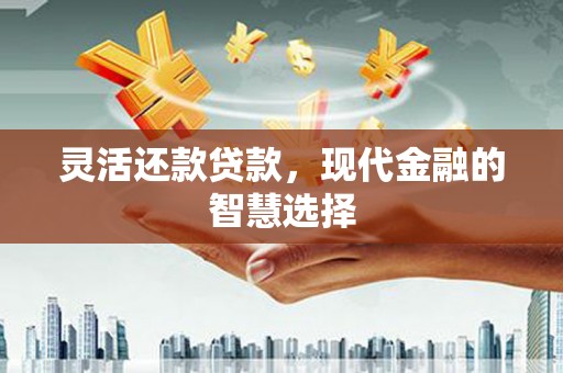 葫芦岛灵活还款贷款，现代金融的智慧选择
