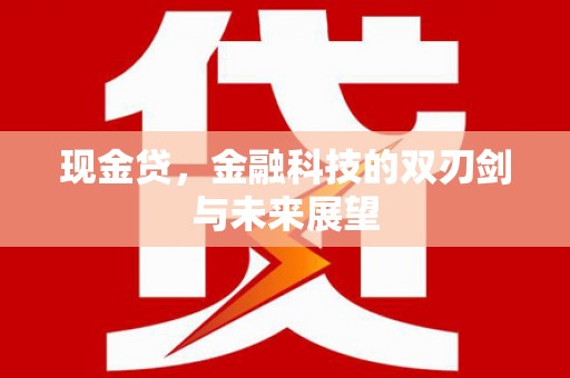 葫芦岛现金贷，金融科技的双刃剑与未来展望