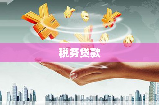 葫芦岛税务贷款