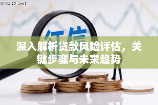葫芦岛深入解析贷款风险评估，关键步骤与未来趋势