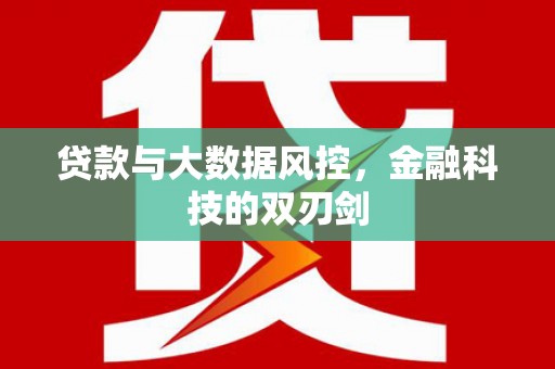 葫芦岛贷款与大数据风控，金融科技的双刃剑