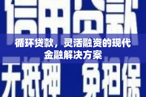 葫芦岛循环贷款，灵活融资的现代金融解决方案