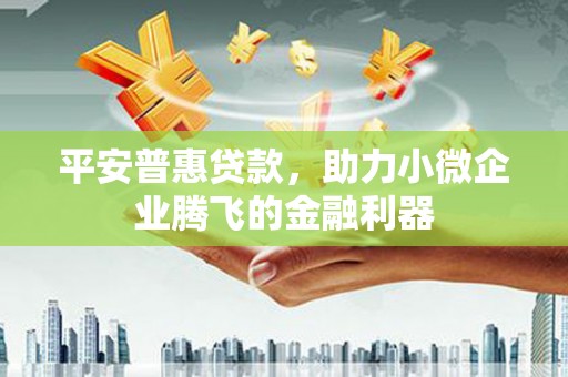 葫芦岛平安普惠贷款，助力小微企业腾飞的金融利器