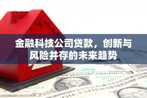 葫芦岛金融科技公司贷款，创新与风险并存的未来趋势