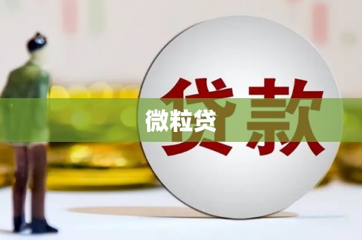 葫芦岛微粒贷